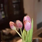 & Herrihof 토트나우베르크