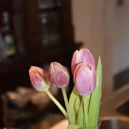 & Herrihof טודנאוברג