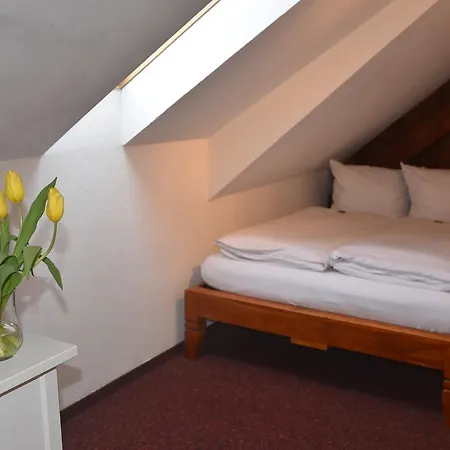 & Herrihof 3* טודנאוברג