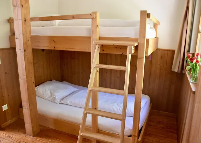 & Herrihof 3* Todtnauberg