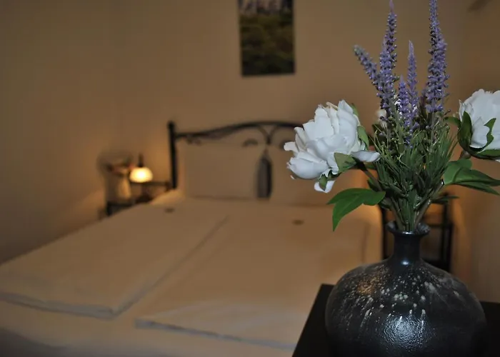 & Herrihof Hotel Todtnauberg